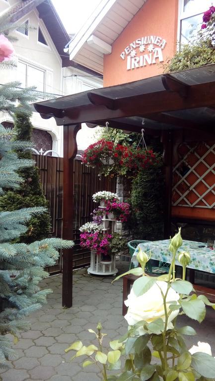 Pensiunea Irina Tilisca Ngoại thất bức ảnh